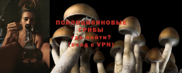 дмт Абаза