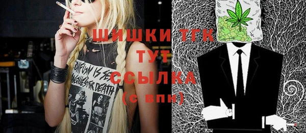 дмт Абаза