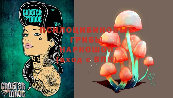 2c-b Нязепетровск