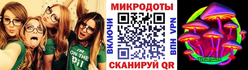 Галлюциногенные грибы Psilocybine cubensis  Тырныауз 
